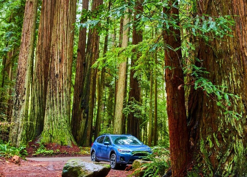 Bellingham Subaru Service