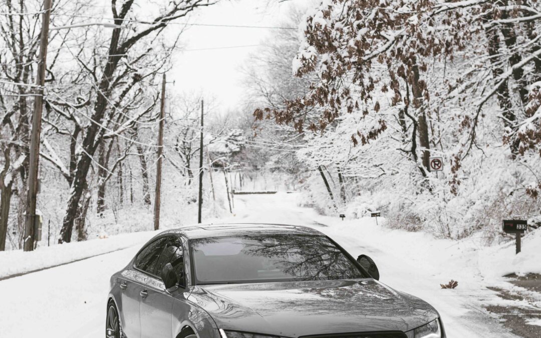Audi in bellingham