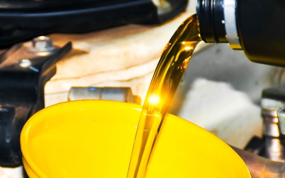 bellingham Oil change