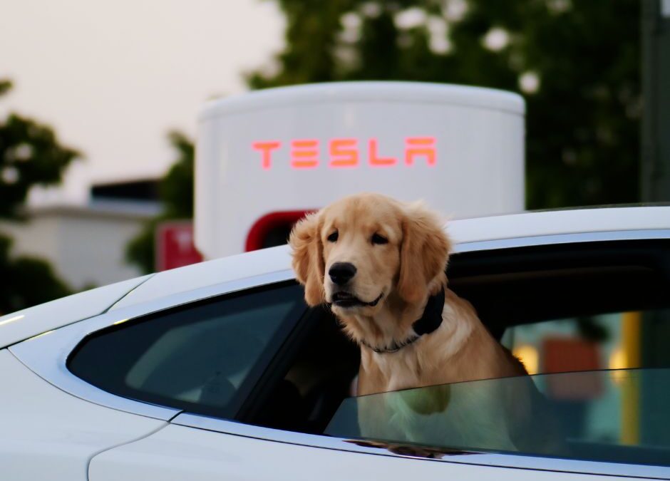 Bellingham Tesla Maintenance